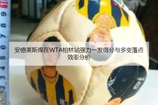 安德莱斯库在WTA柏林站强力一发得分与多变落点效率分析