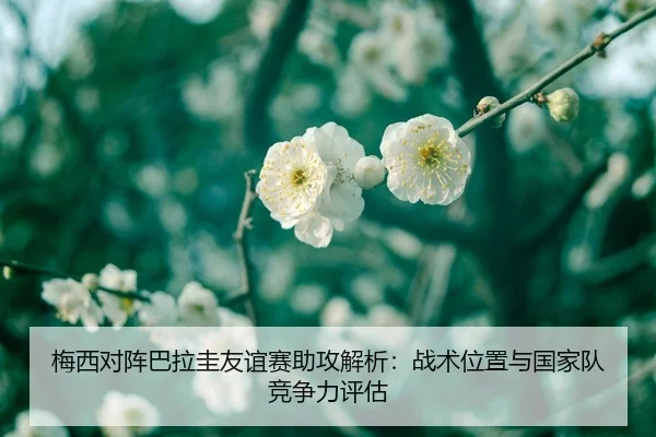 梅西对阵巴拉圭友谊赛助攻解析：战术位置与国家队竞争力评估